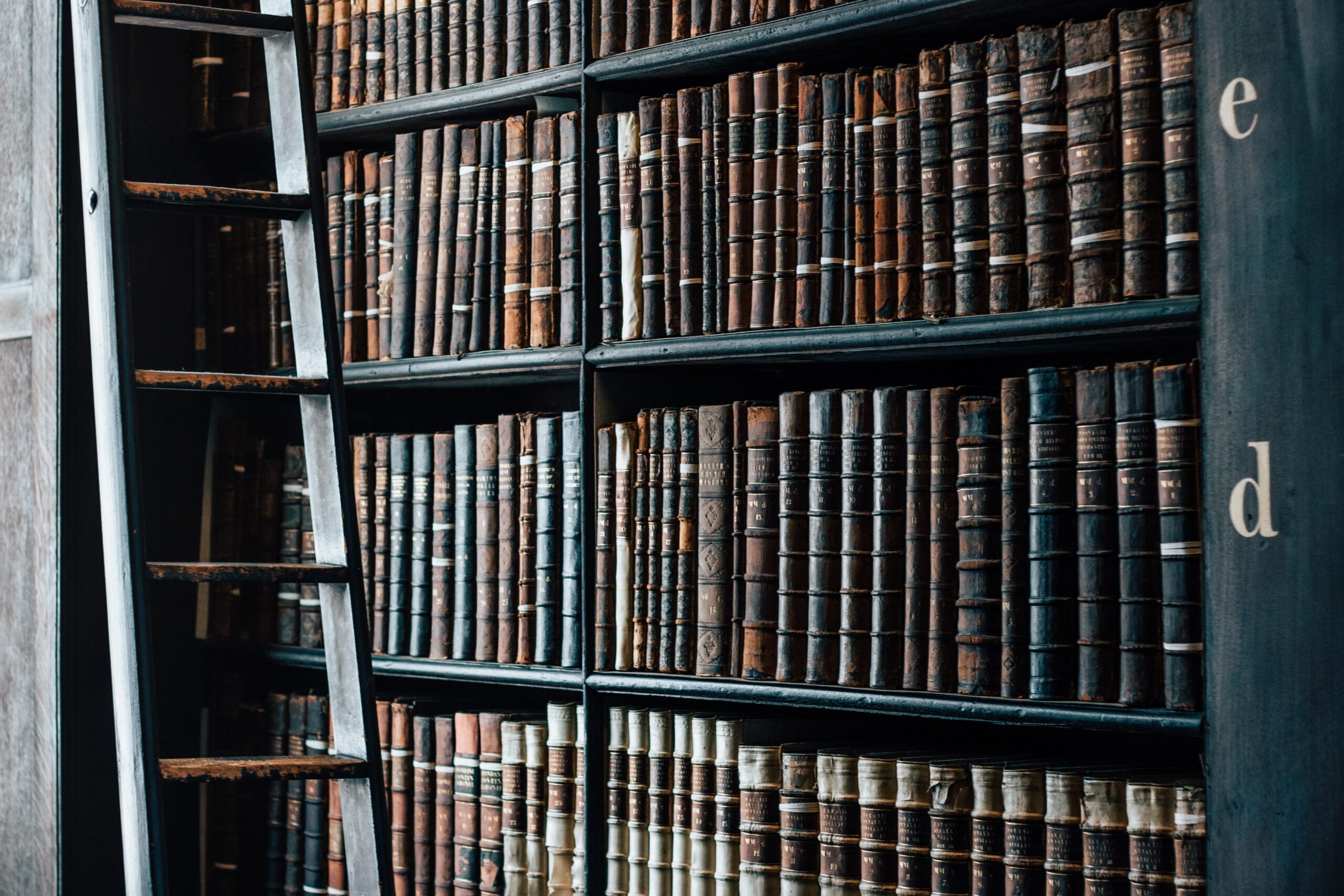 Public Law Solicitors