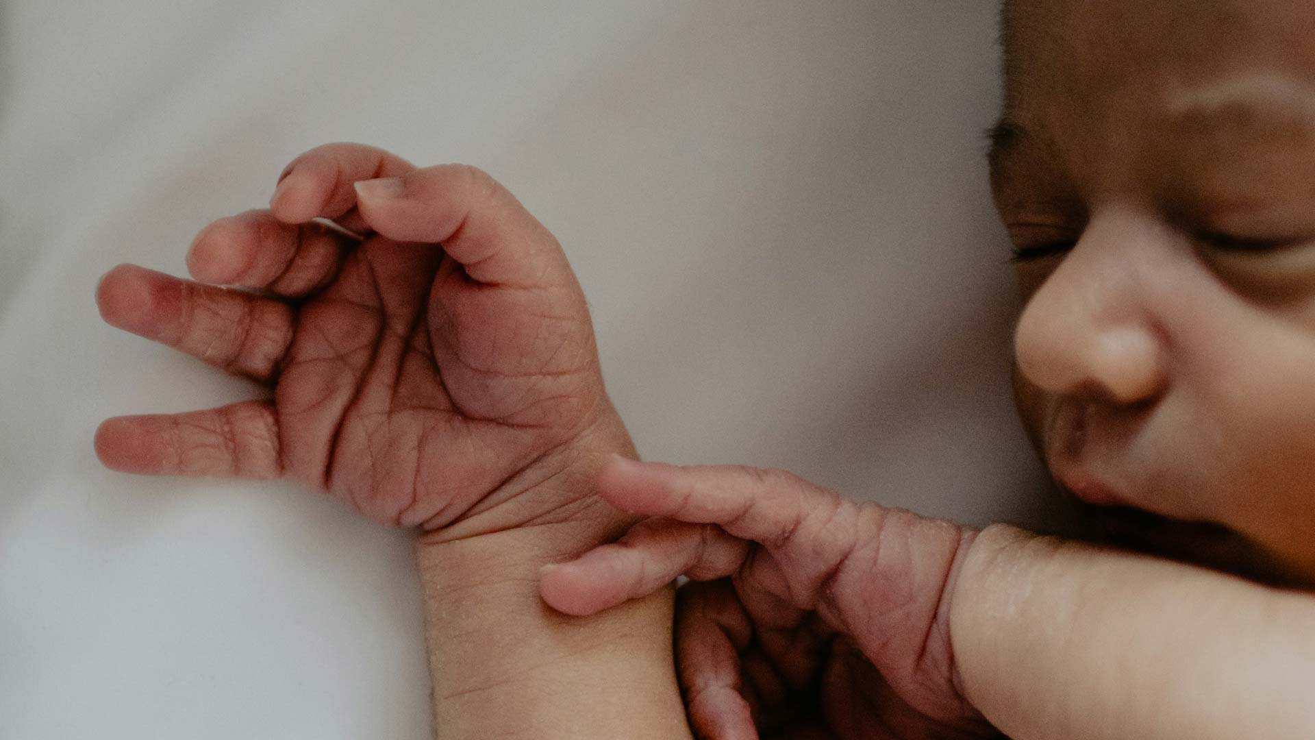 surrogacy and adoption Solicitors