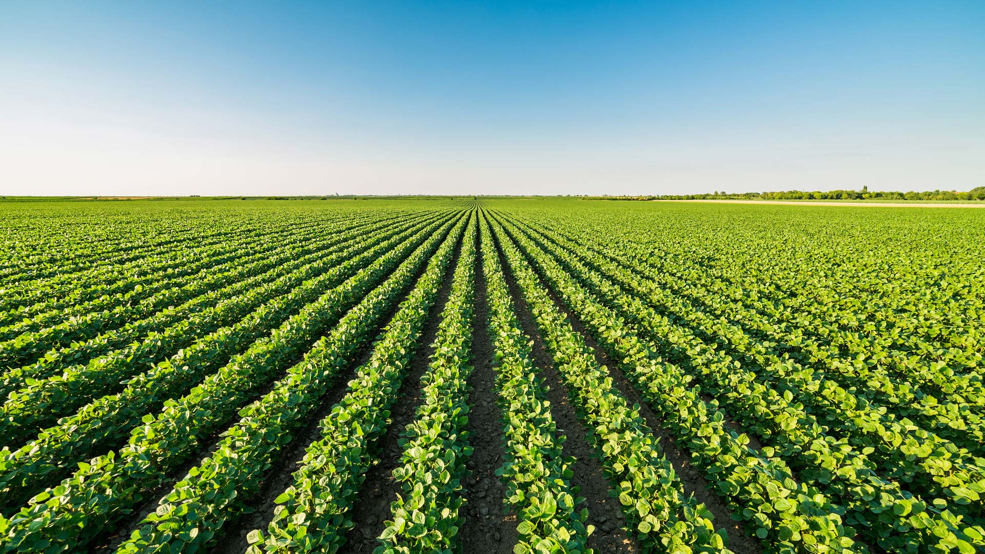 farming business