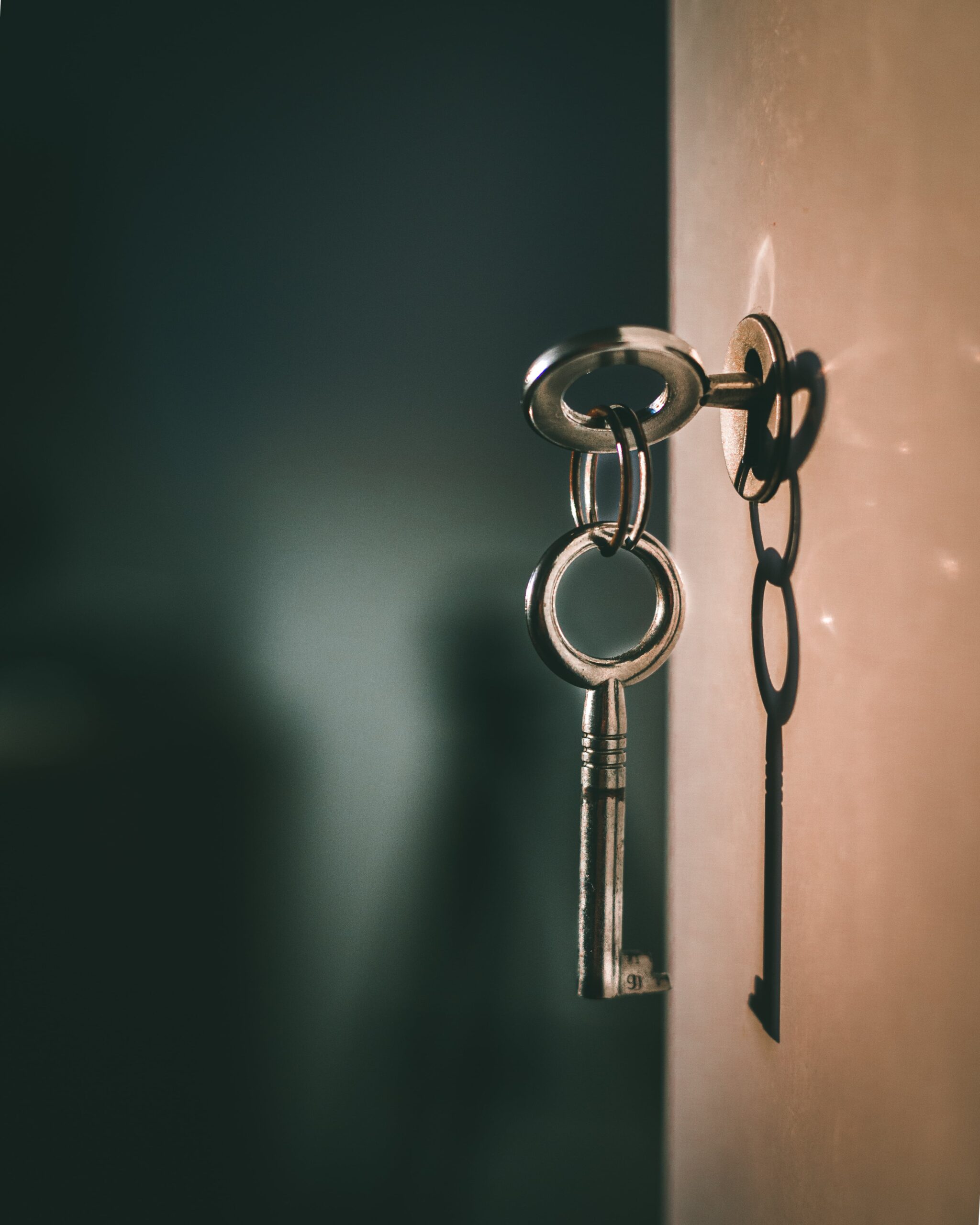 cohabitation solicitors