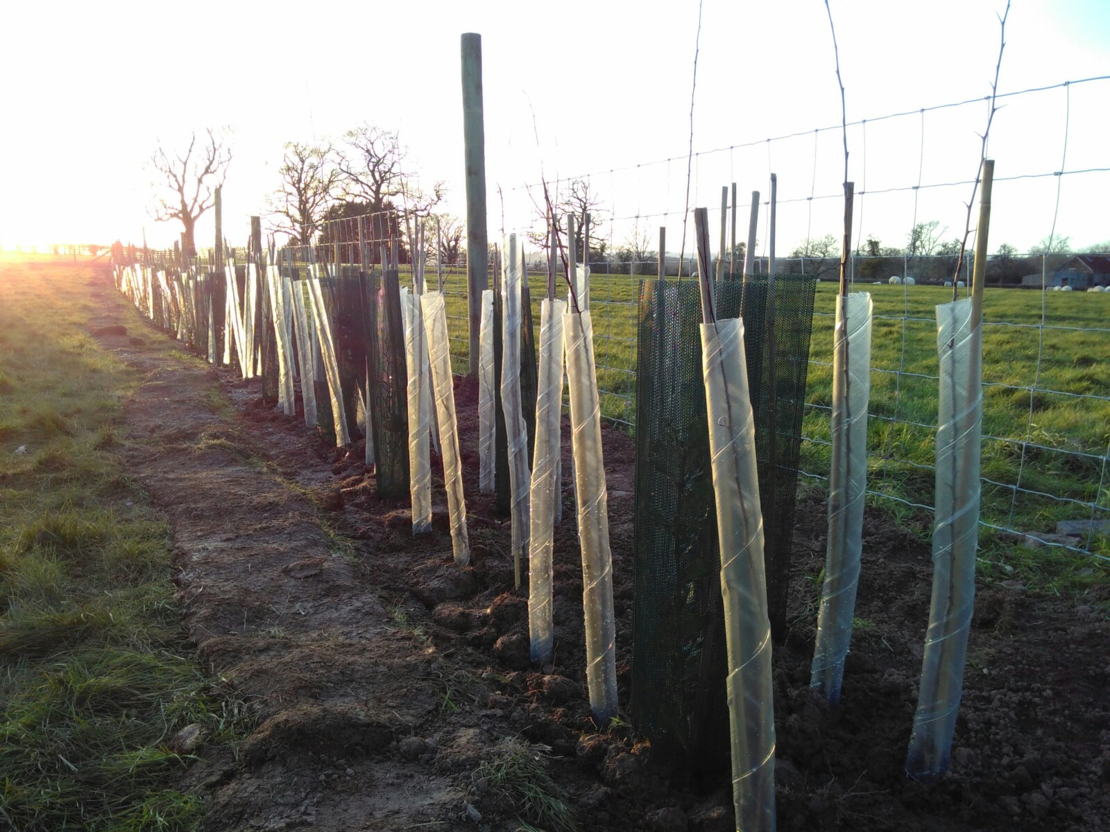 Natural Capital Solicitors