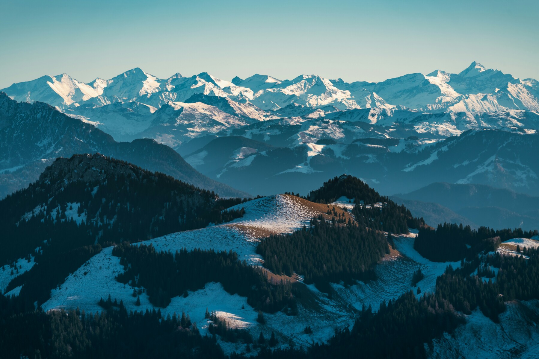 daniel-sessler-A-KXAYihZ8A-unsplash