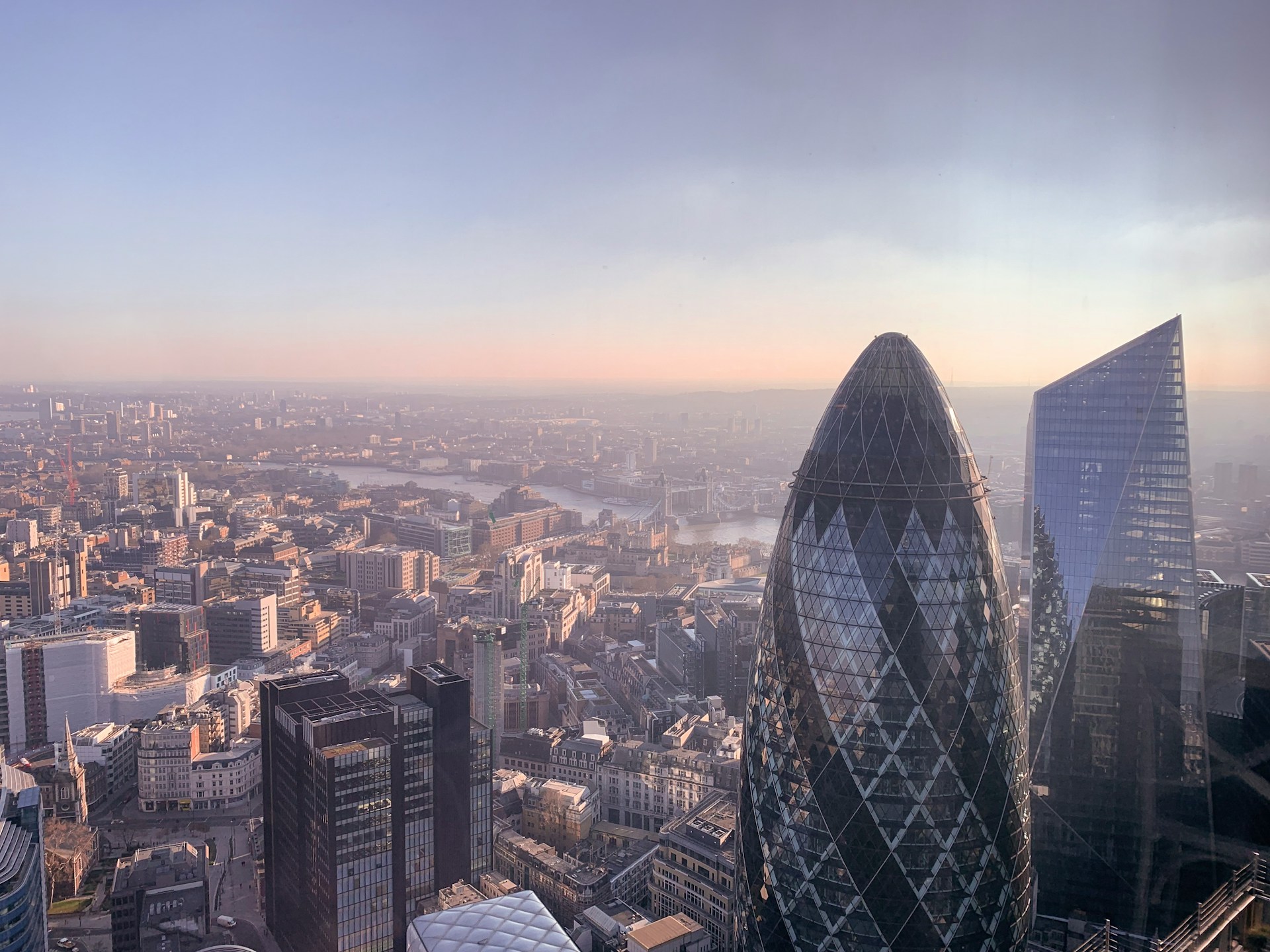 Untitled design (5)