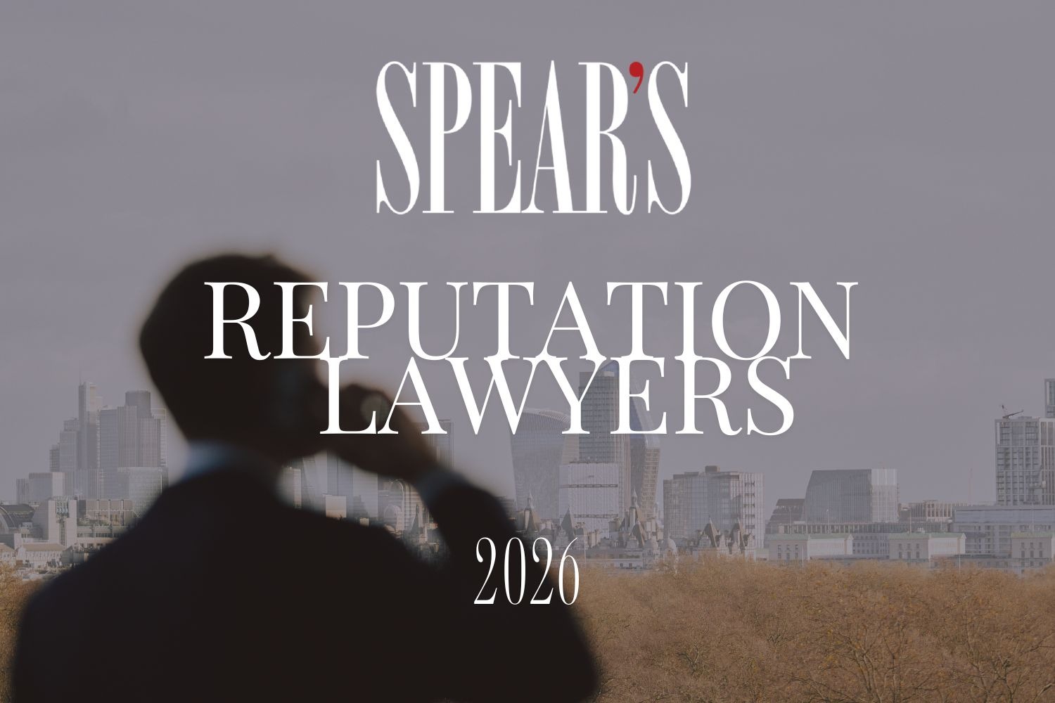 Spears Reputation Indices