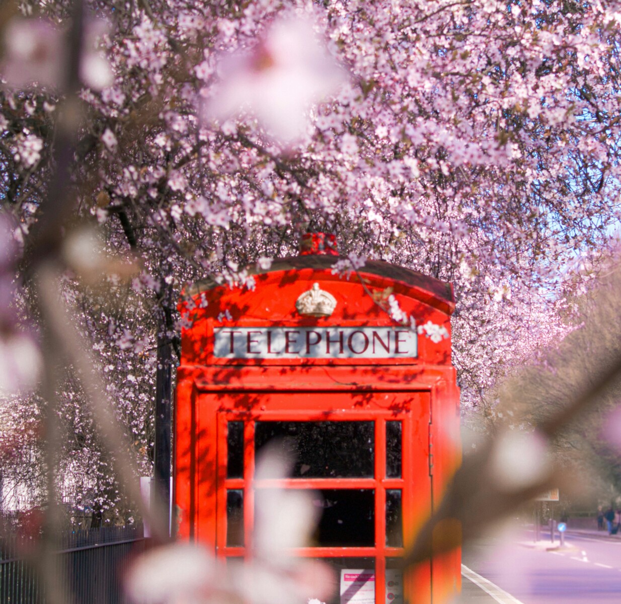 yuya-yoshioka-YDXGCjnIbMk-unsplash