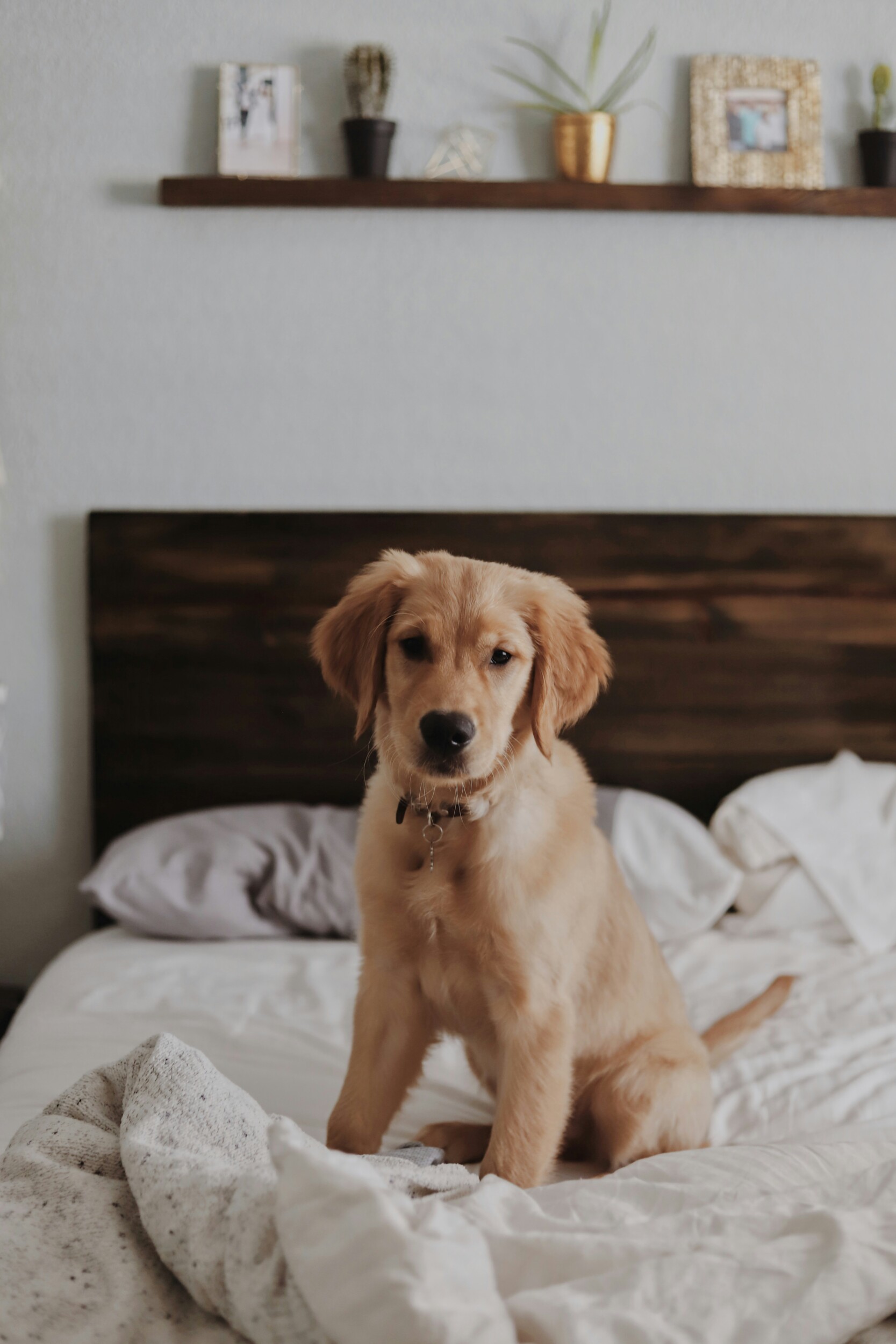 amy-humphries-AllEP6K_TAg-unsplash