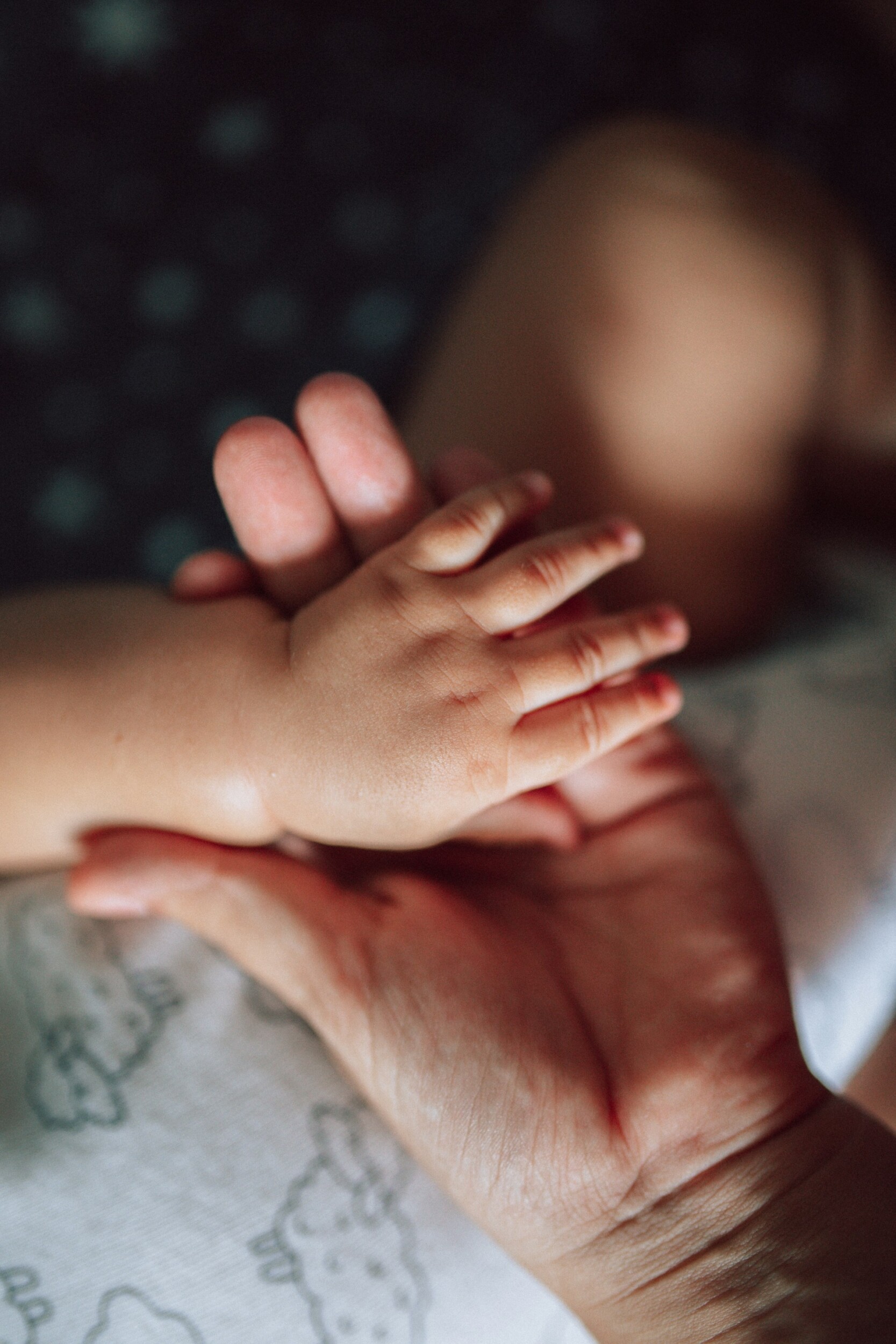 izabelly-marques-5Kc5o7Cfikk-unsplash